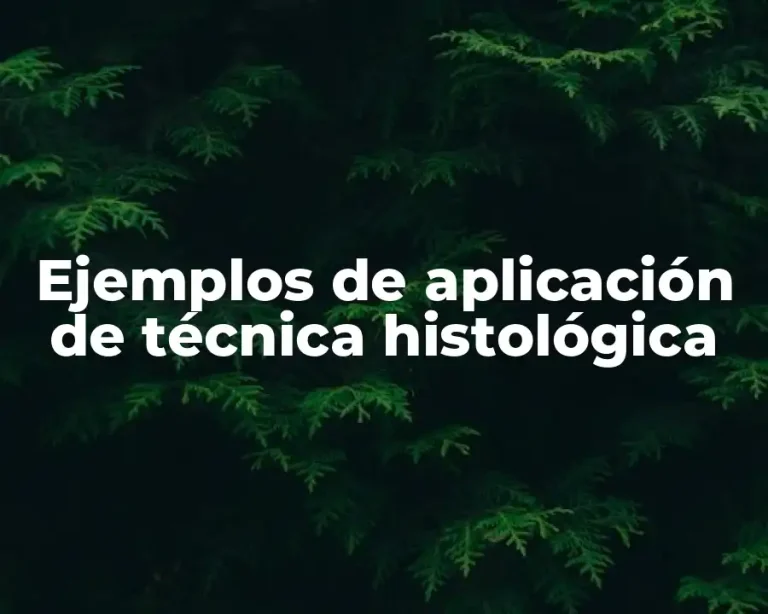 Ejemplos de aplicación de técnica histológica