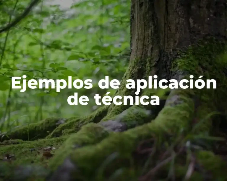 Ejemplos de aplicación de técnica