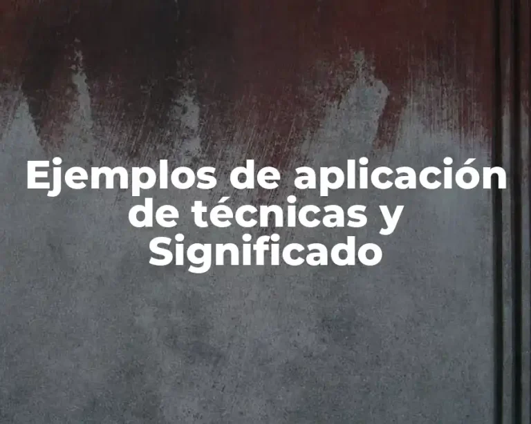 Ejemplos de aplicación de técnicas y Significado