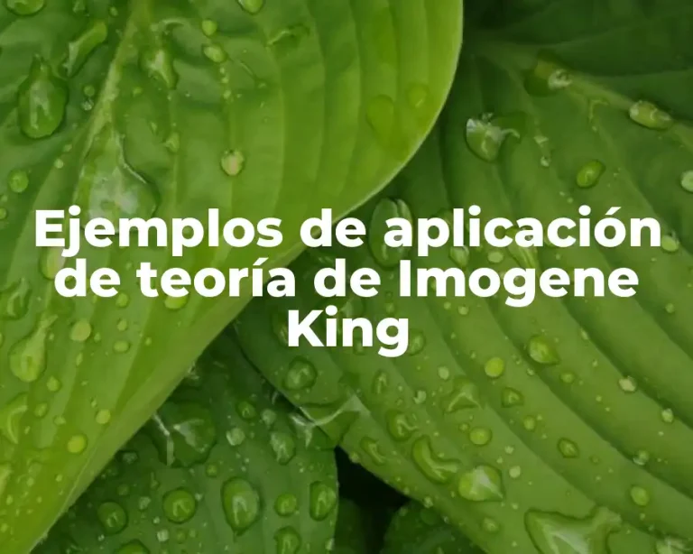 Ejemplos de aplicación de teoría de Imogene King