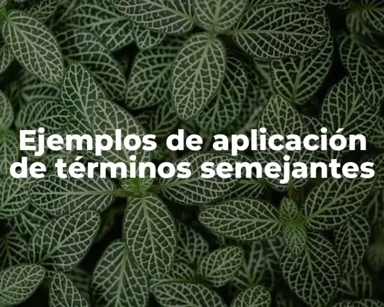 Ejemplos de aplicación de términos semejantes