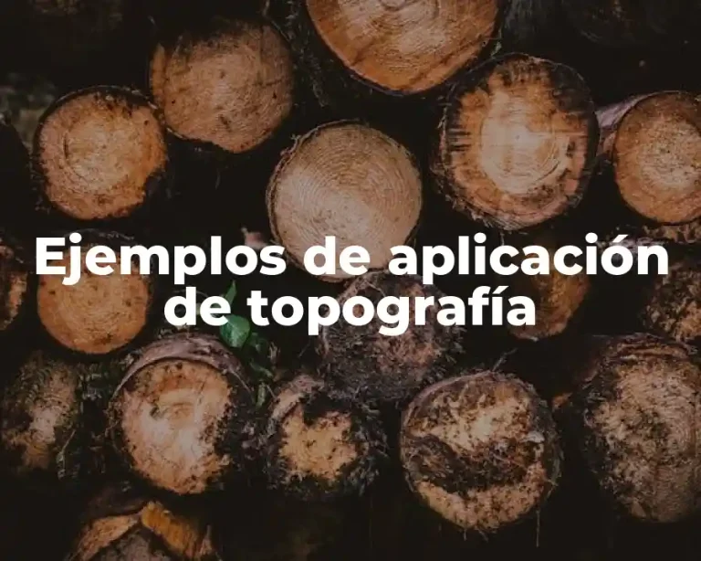 Ejemplos de aplicación de topografía