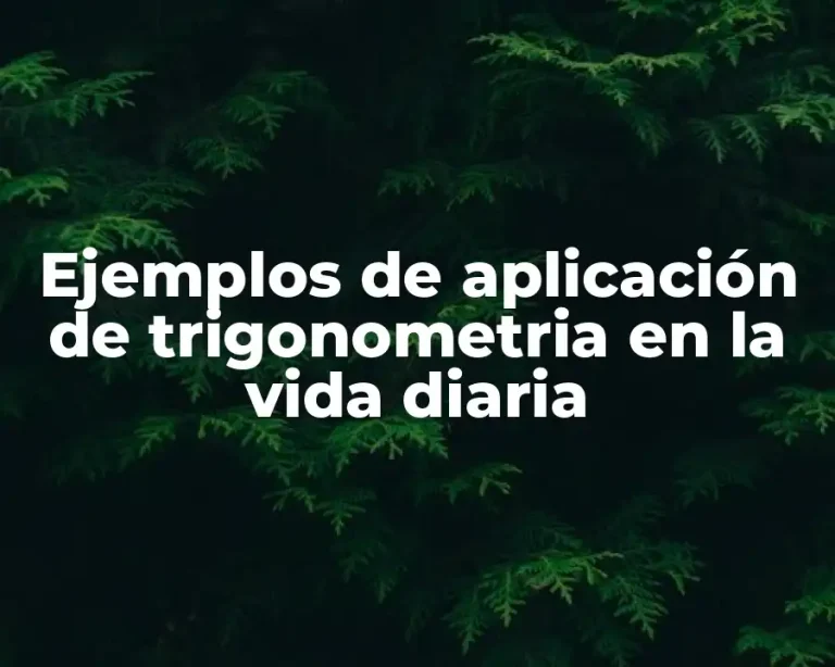 Ejemplos de aplicación de trigonometria en la vida diaria