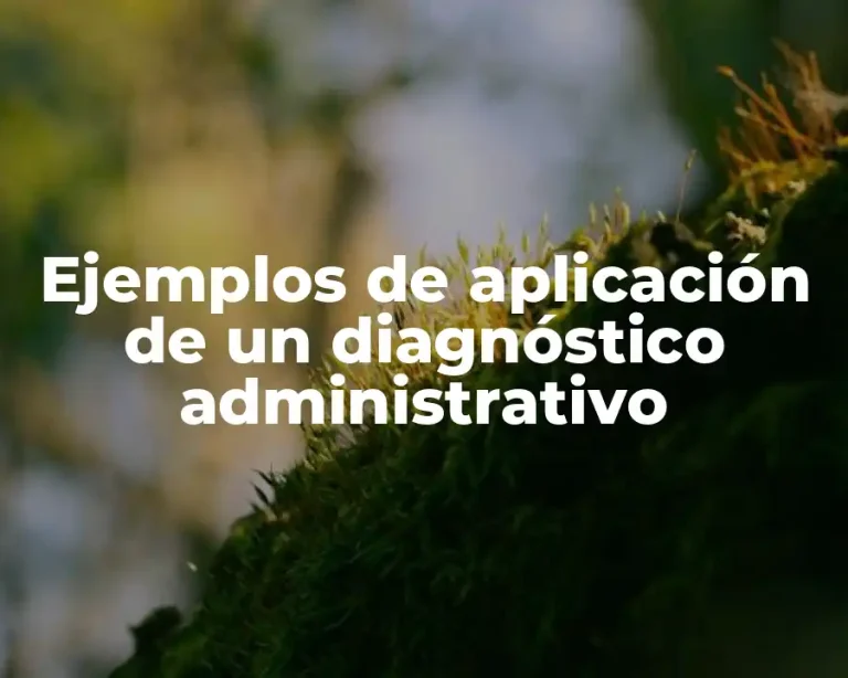 Ejemplos de aplicación de un diagnóstico administrativo