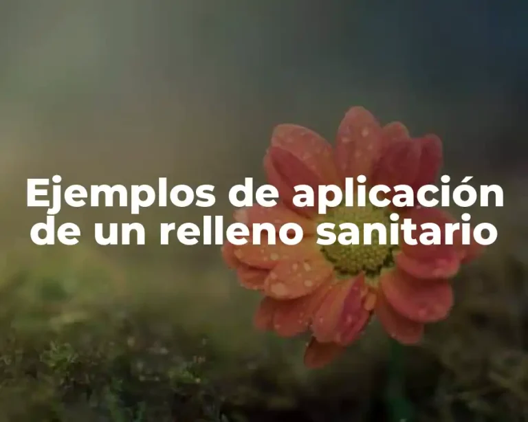 Ejemplos de aplicación de un relleno sanitario