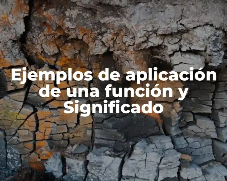 Ejemplos de aplicación de una función y Significado