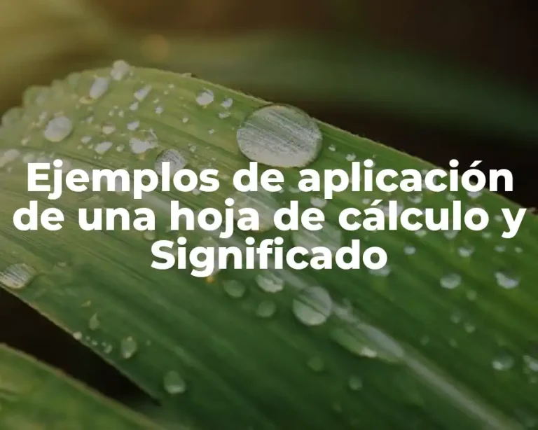 Ejemplos de aplicación de una hoja de cálculo y Significado