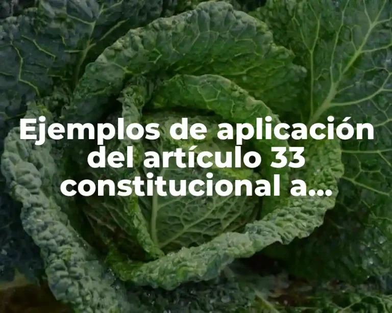 Ejemplos de aplicación del artículo 33 constitucional a extranjeros