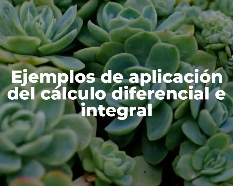 Ejemplos de aplicación del cálculo diferencial e integral