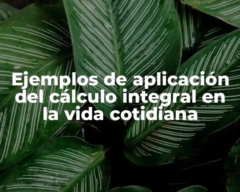 Ejemplos de aplicación del cálculo integral en la vida cotidiana