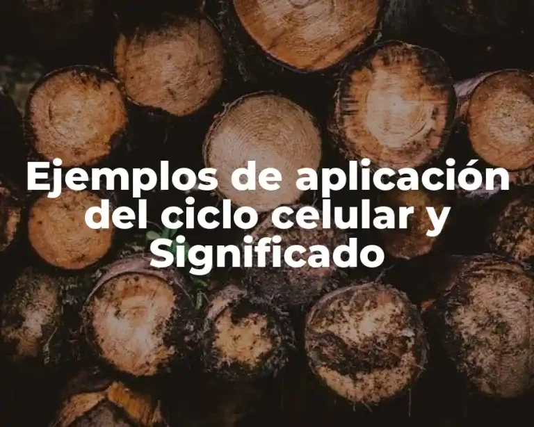 Ejemplos de aplicación del ciclo celular y Significado