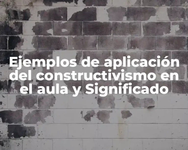 Ejemplos de aplicación del constructivismo en el aula y Significado