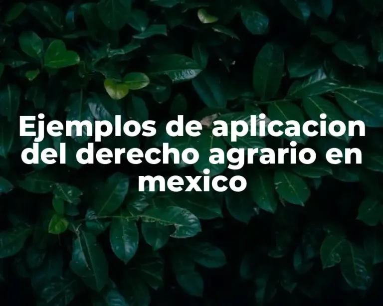 Ejemplos de aplicacion del derecho agrario en mexico