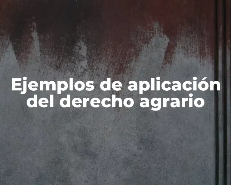 Ejemplos de aplicación del derecho agrario