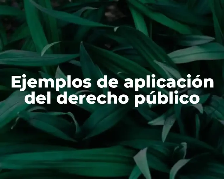 Ejemplos de aplicación del derecho público