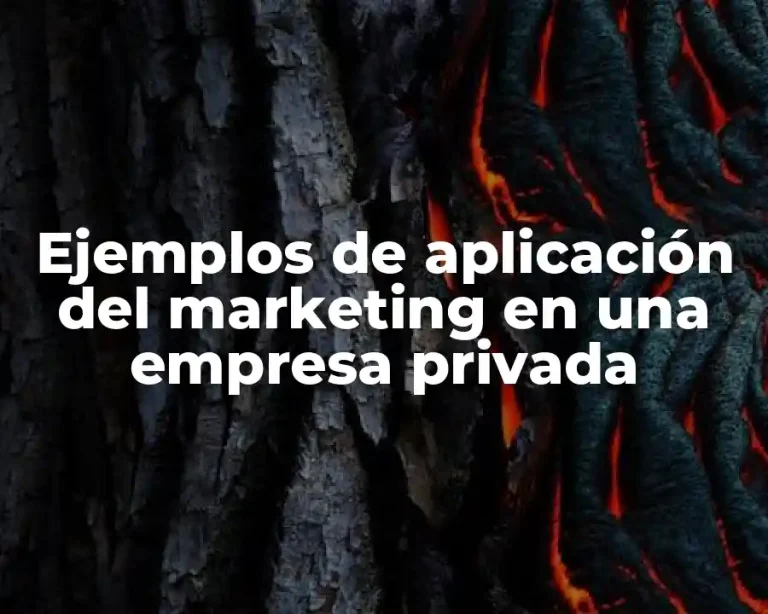 Ejemplos de aplicación del marketing en una empresa privada