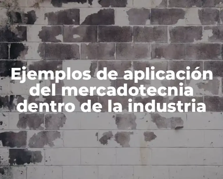 Ejemplos de aplicación del mercadotecnia dentro de la industria