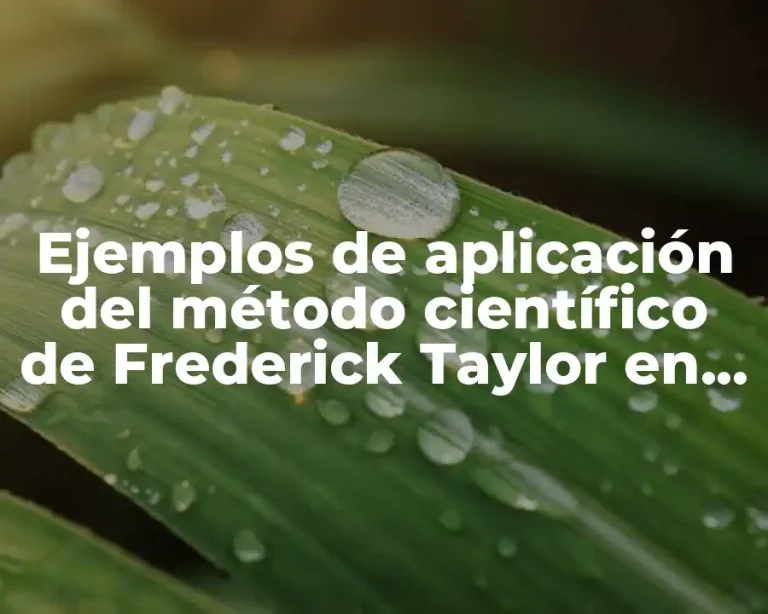 Ejemplos de aplicación del método científico de Frederick Taylor en la vida