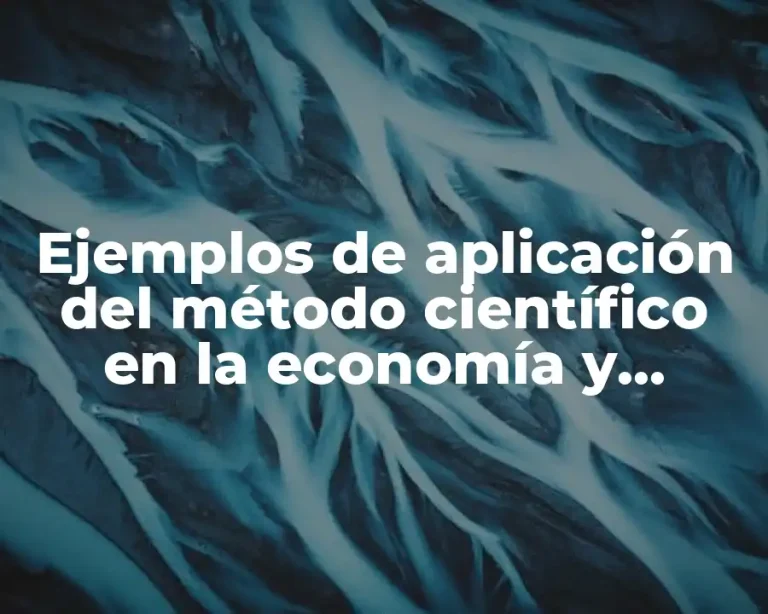 Ejemplos de aplicación del método científico en la economía y Significado
