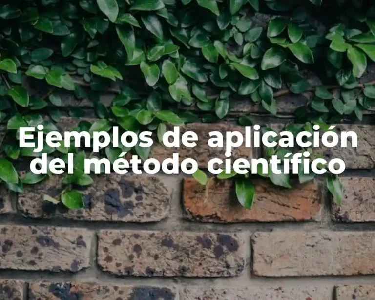 Ejemplos de aplicación del método científico