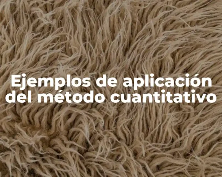 Ejemplos de aplicación del método cuantitativo