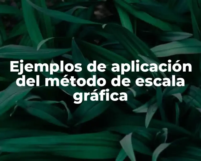 Ejemplos de aplicación del método de escala gráfica