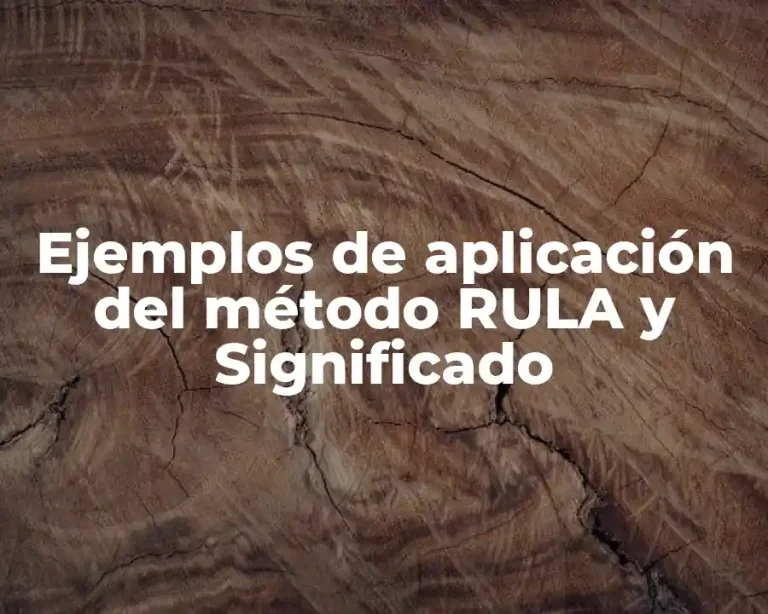 Ejemplos de aplicación del método RULA y Significado