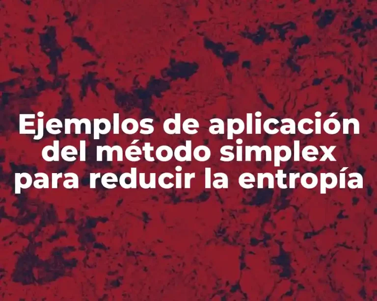 Ejemplos de aplicación del método simplex para reducir la entropía