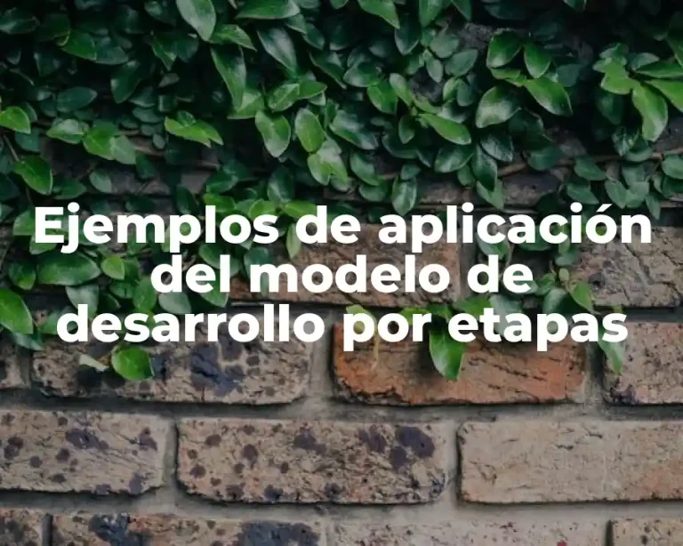 Ejemplos de aplicación del modelo de desarrollo por etapas