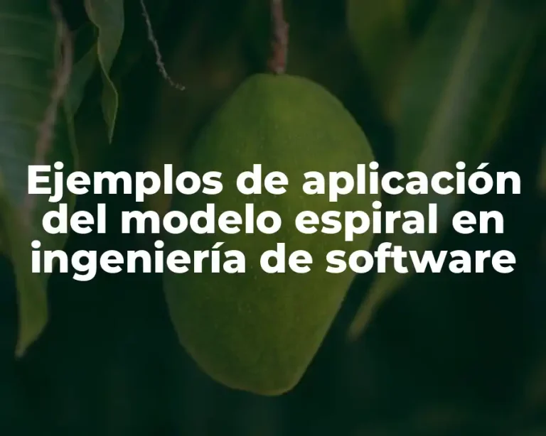 Ejemplos de aplicación del modelo espiral en ingeniería de software