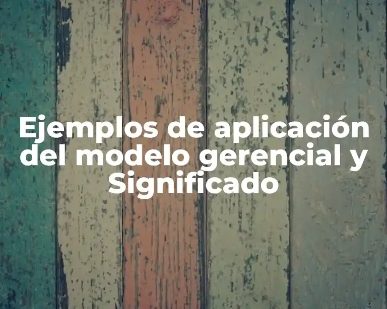 Ejemplos de aplicación del modelo gerencial y Significado