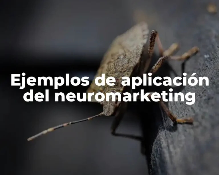 Ejemplos de aplicación del neuromarketing