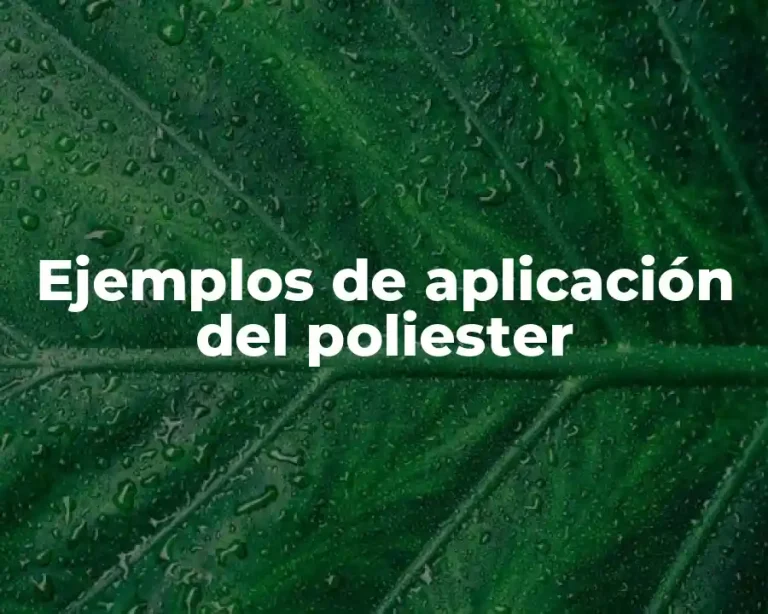 Ejemplos de aplicación del poliester