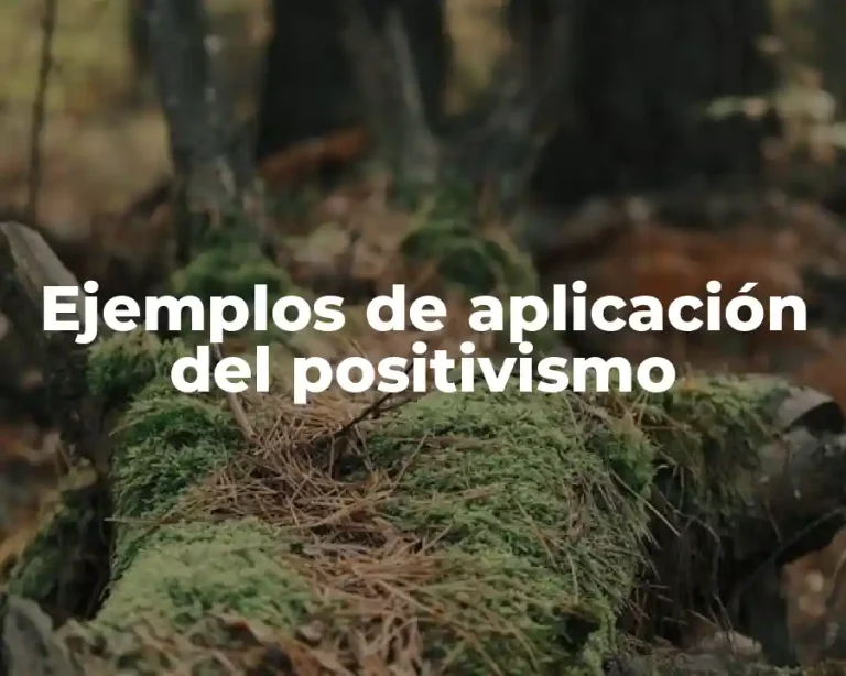Ejemplos de aplicación del positivismo