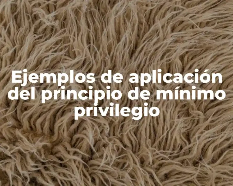 Ejemplos de aplicación del principio de mínimo privilegio