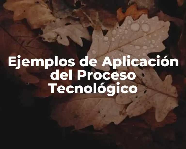 Ejemplos de Aplicación del Proceso Tecnológico