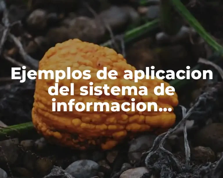 Ejemplos de aplicacion del sistema de informacion administrativa y Significado