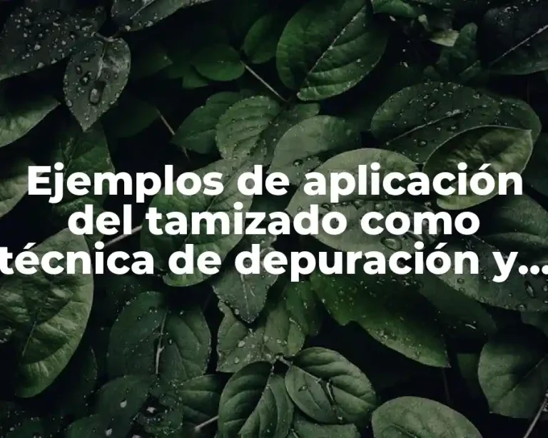 Ejemplos de aplicación del tamizado como técnica de depuración y Significado