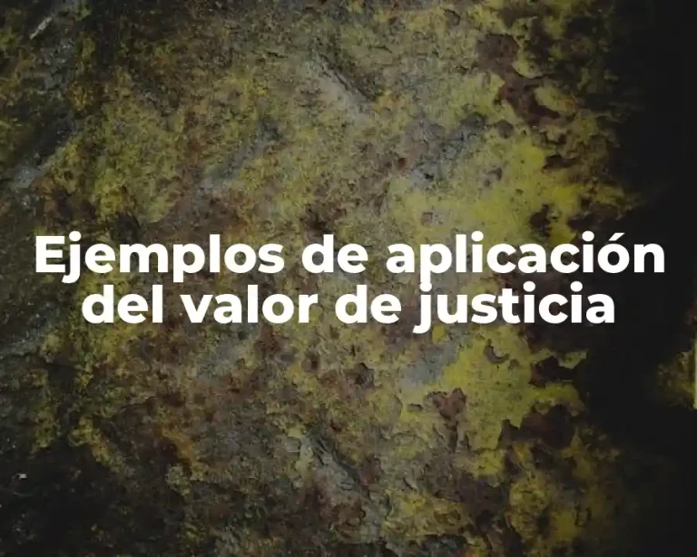 Ejemplos de aplicación del valor de justicia