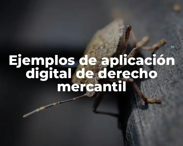 Ejemplos de aplicación digital de derecho mercantil