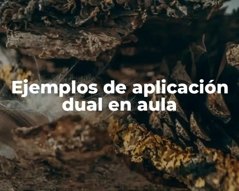 Ejemplos de aplicación dual en aula