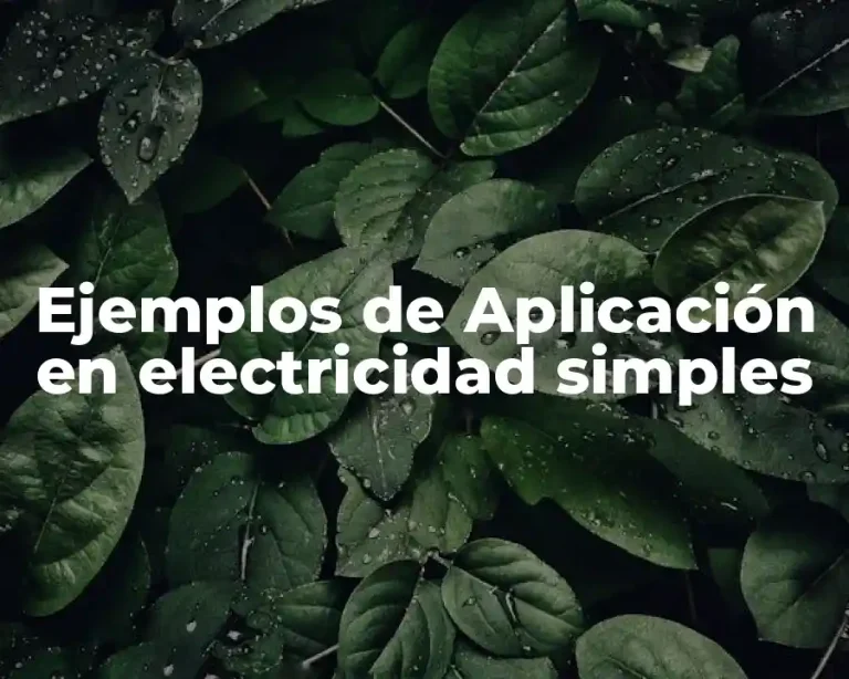 Ejemplos de Aplicación en electricidad simples
