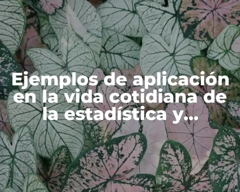 Ejemplos de aplicación en la vida cotidiana de la estadística y Significado