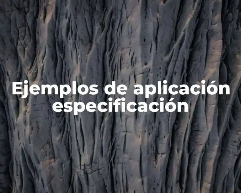 Ejemplos de aplicación especificación