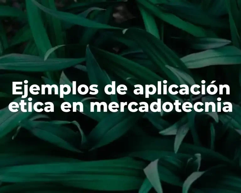 Ejemplos de aplicación etica en mercadotecnia