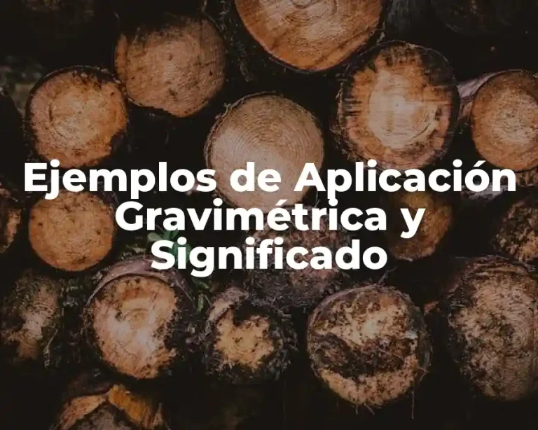 Ejemplos de Aplicación Gravimétrica y Significado