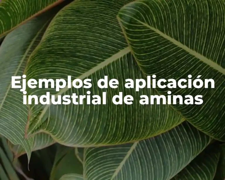 Ejemplos de aplicación industrial de aminas