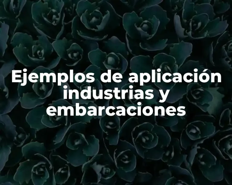 Ejemplos de aplicación industrias y embarcaciones