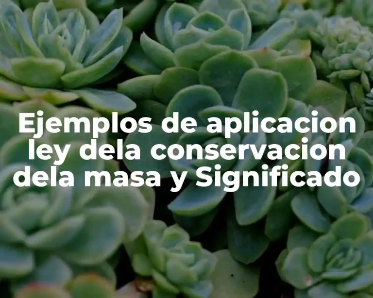 Ejemplos de aplicacion ley dela conservacion dela masa y Significado