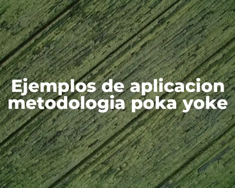 Ejemplos de aplicacion metodologia poka yoke